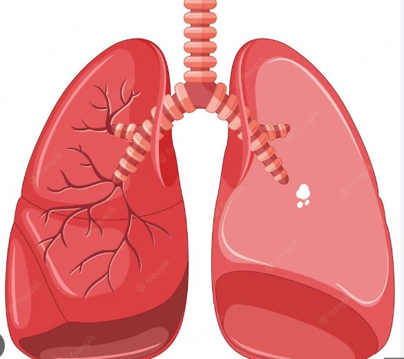 Les cas de tuberculoses de 2011 à 2016 par région.